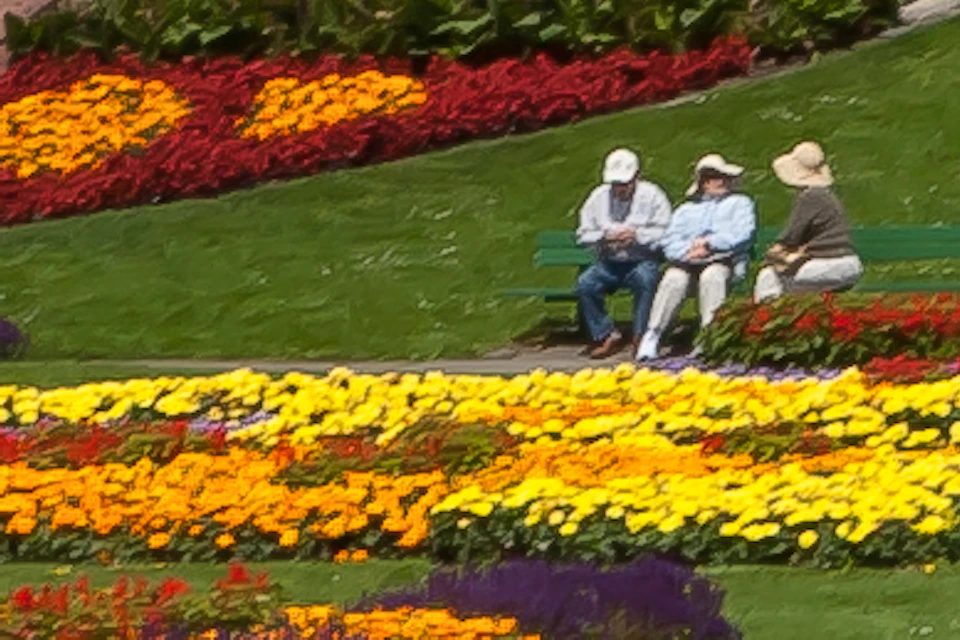 Biking along the flower of conservatory