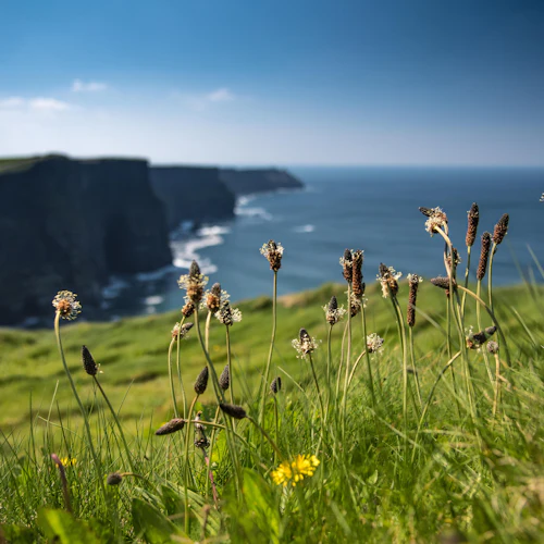 Galway to Cliffs of Moher Bus: Passeio Expresso de Meio Dia - Photo 2