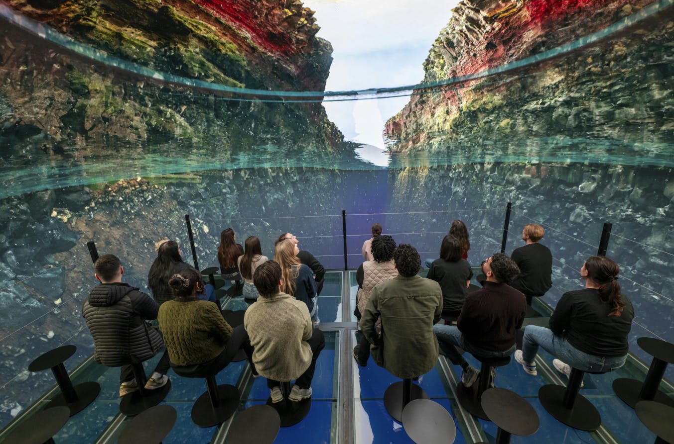 ペルラン博物館: 入場券