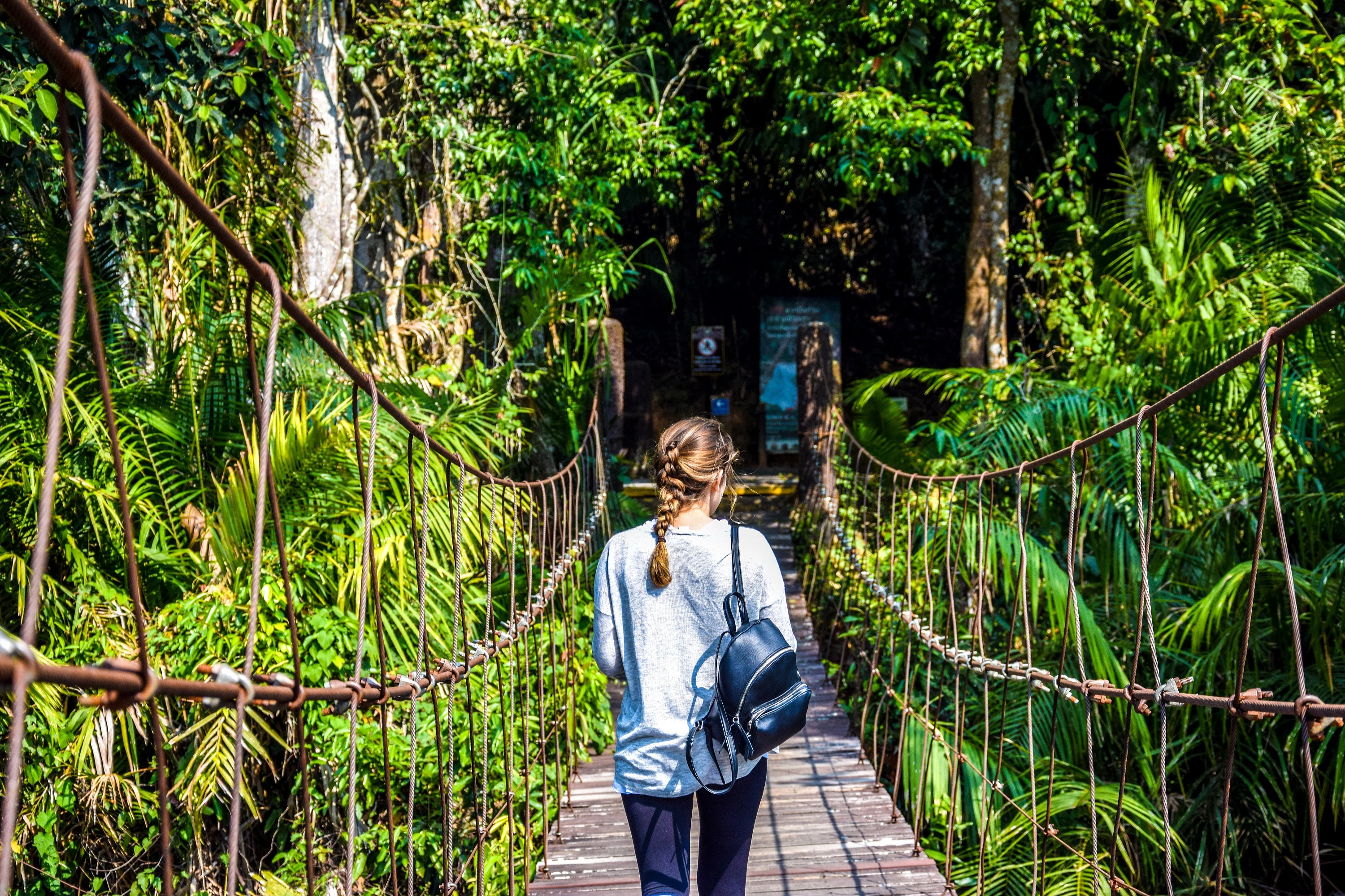 Khao Yai National Park Tour from Bangkok – Full Day