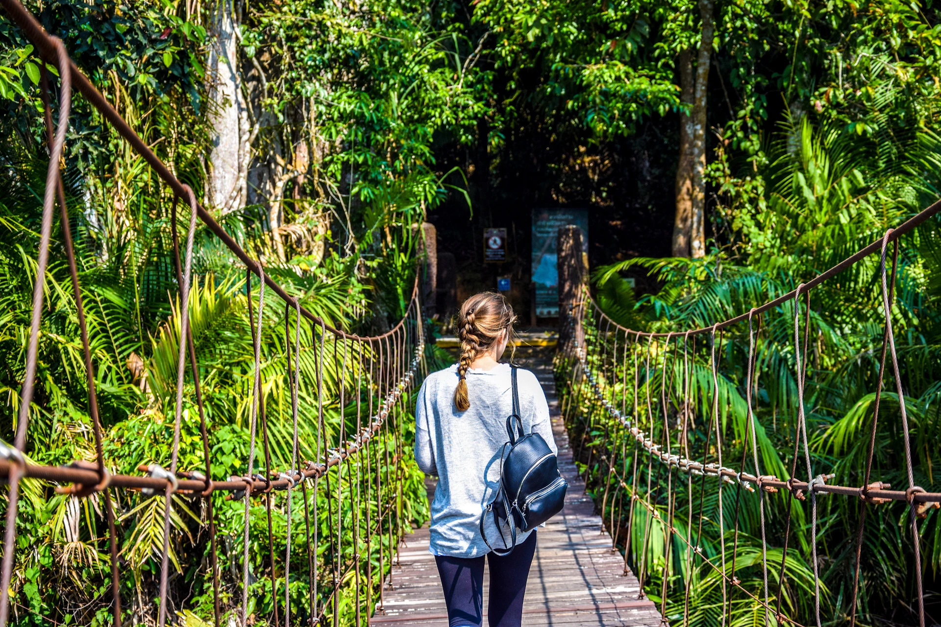 Khao Yai National Park Trail