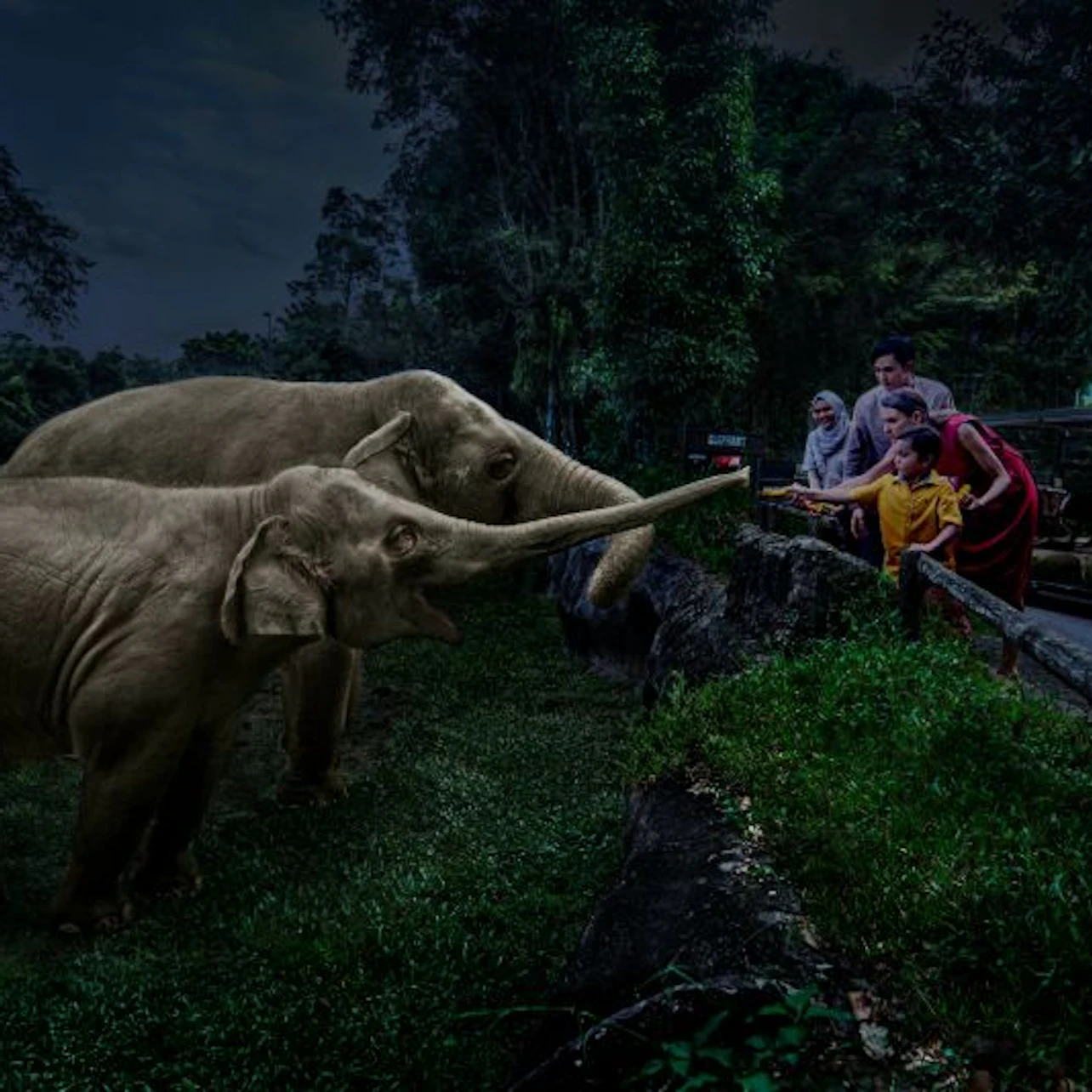 Singapore Night Safari with Tram Ride in Singapore β Tiqets