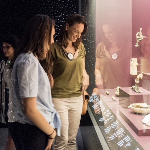 Musée des Confluences: Entry Ticket Musée des Confluences: Entry Ticket
