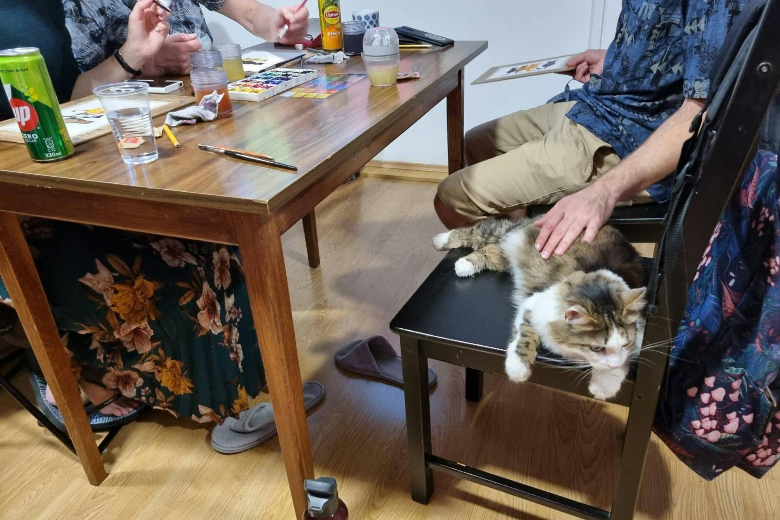 Mal i en hyggelig atmosfære, og slap af