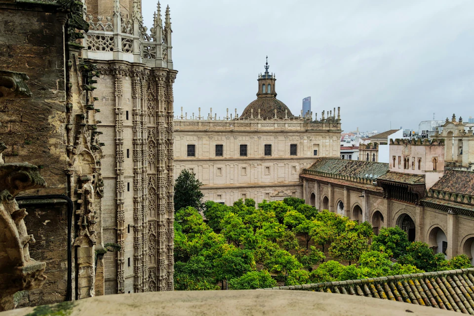 Courtyard of the Orange Trees of the Cathedral of Seville