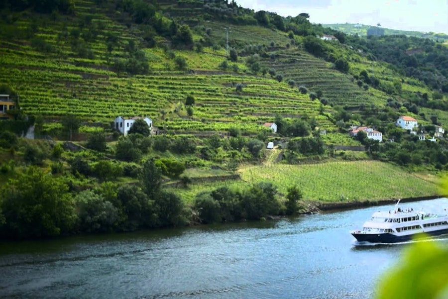 Douro Valley Day Trip from Porto with Lunch and Wine Tasting