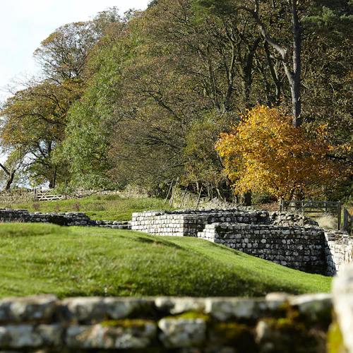 Housesteads Roman Fort - Muralha de Adriano - Photo 2