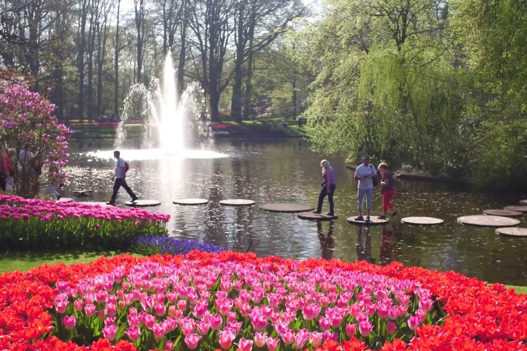 Online-Ticket Keukenhof: Eintritt + Geführte Tour Durch Den Keukenhof