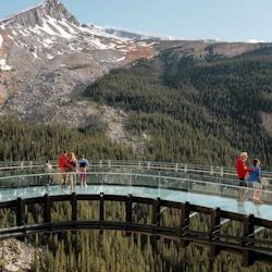 Columbia Icefield: Guided Day Tour from Banff + Skywalk Entry + Lunch 3