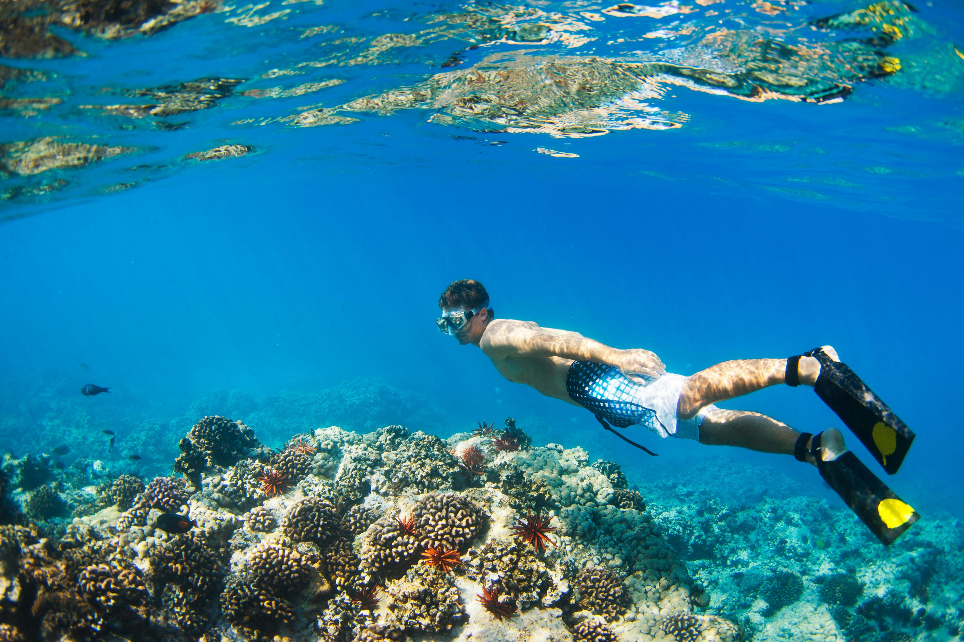 Giftun Island: Guided Snorkeling Tour from Hurghada + Lunch & Drinks 2