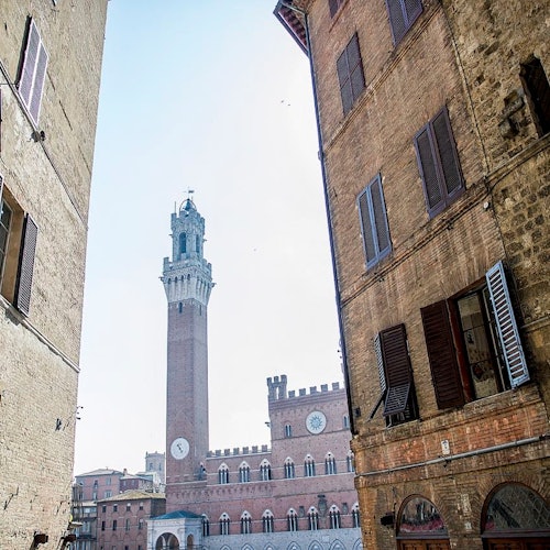 Pisa, San Gimignano y Siena: Excursión de un día desde Florencia + Visita a la ciudad de Siena + Almuerzo