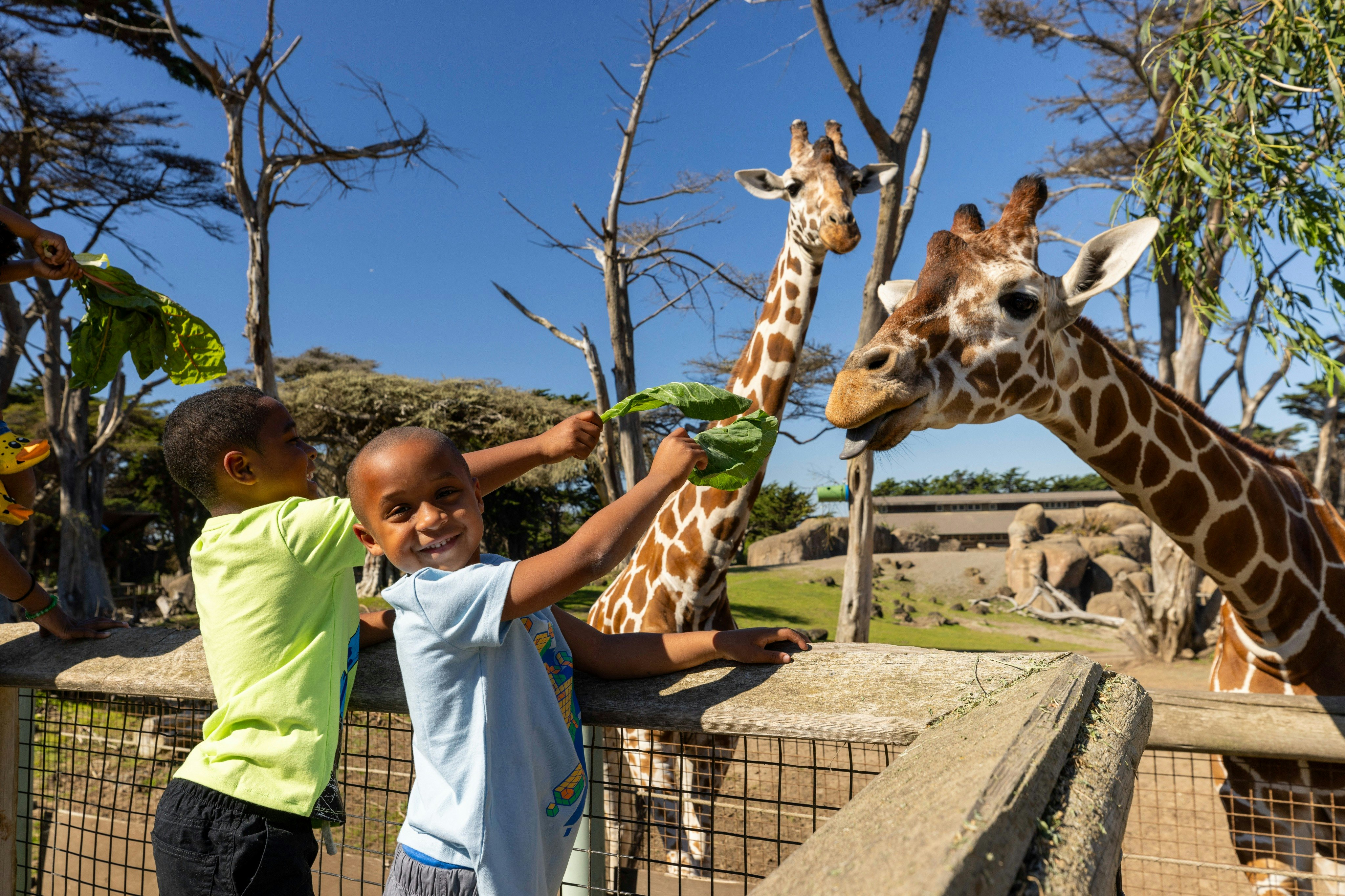 San Francisco Zoo: Entry Ticket