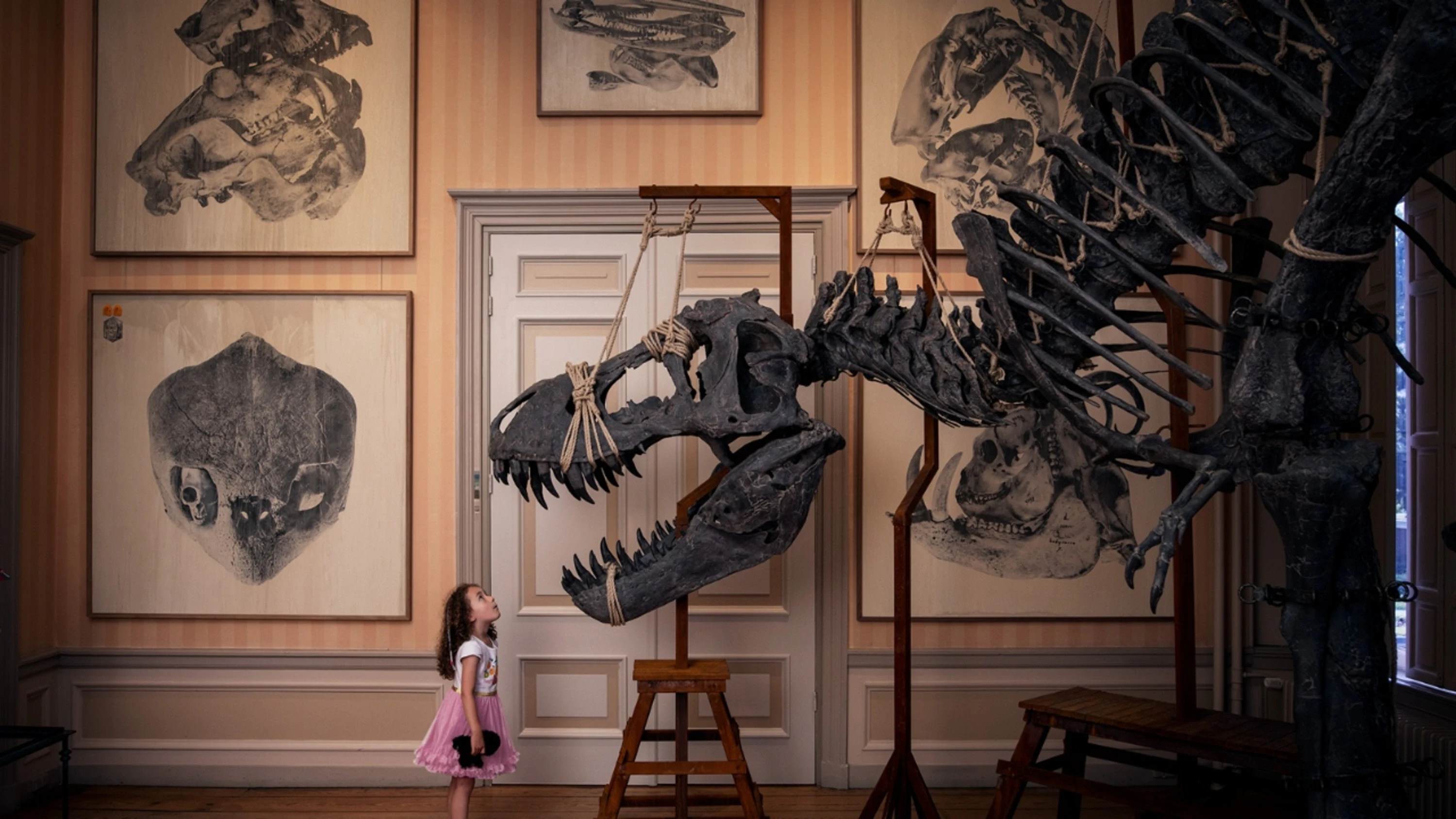 Art Zoo Museum Amsterdam: Entry Ticket