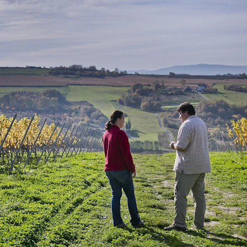 Wieliczka: Visita aos vinhedos e degustação de vinhos saindo de Cracóvia - Photo 5