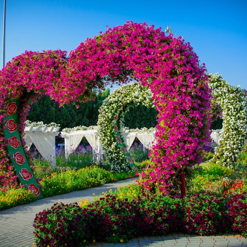 Miracle Garden & Butterfly Garden: Guided Tour and Transportation from Dubai