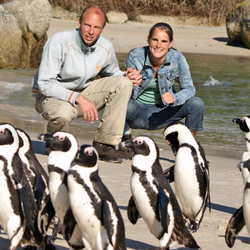 Table Mountain & Cape Point: Small-Group Tour - Photo 6