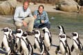 Visitors are getting a close-up view of Penguins at Boulders Beach.