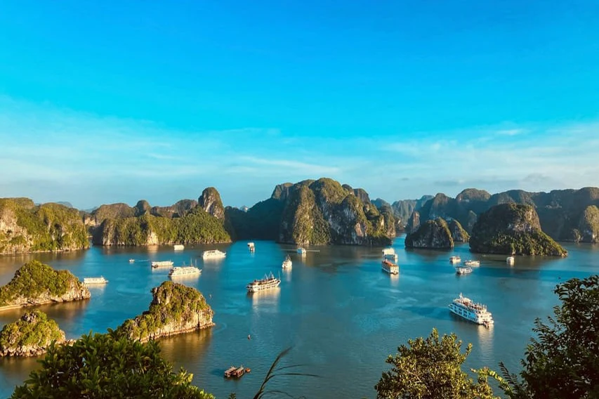 Ha Long Bay: Full-Day Guided Cruise from Hanoi with Ti Top Island + Lunch