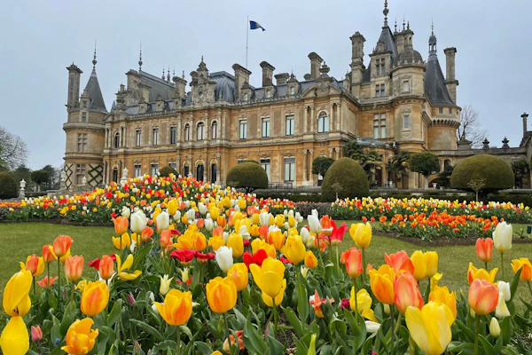 Aylesbury Waddesdon Manor tickets