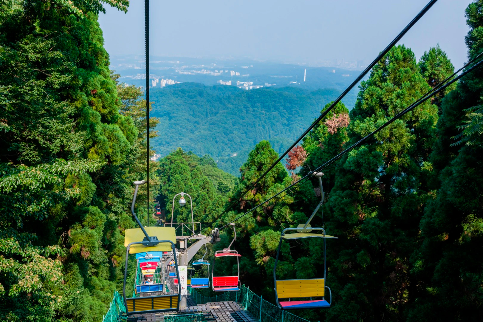 A chairlift with colorful seats ascending through a lush green forest, with a distant city visible in the background.
