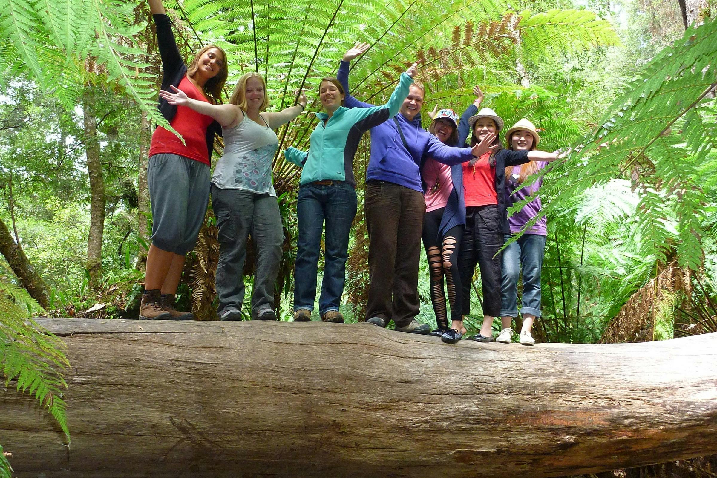 A group of seven people stand on a large fallen tree trunk in a lush forest, smiling and raising their arms under tall green ferns.