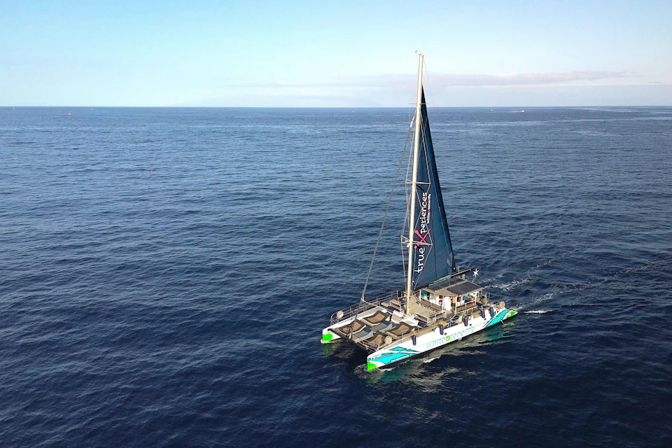 A large catamaran with sails navigates in a vast open sea under a clear sky.