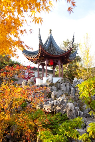 Dr. Sun Yat-Sen Chinese Garden: Entry Ticket + Chinese Guided Tour Option