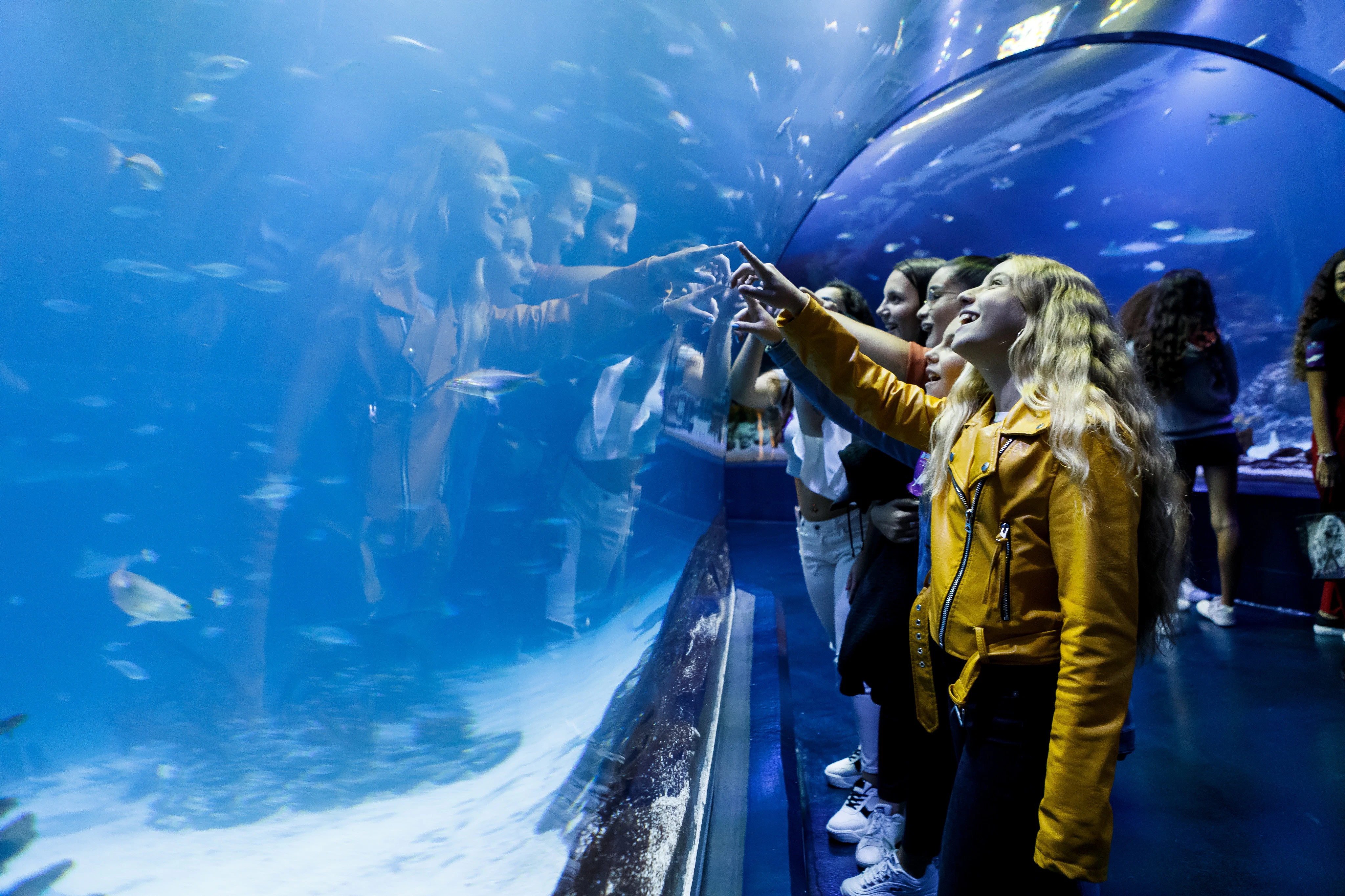 Atlantis Aquarium Madrid: Entry Ticket