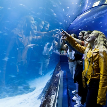 Bilety do akwarium Atlantis w Madrycie