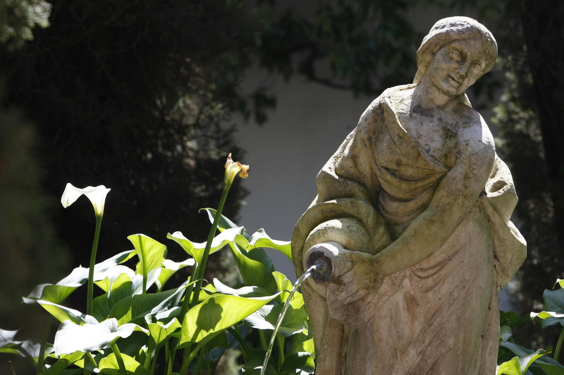 风化石雕像，周围环绕着郁郁葱葱的绿叶和白色马蹄莲。