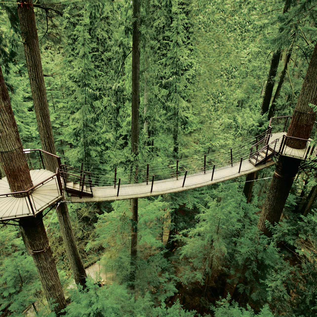 Capilano Suspension Bridge Park - Accommodations in Vancouver