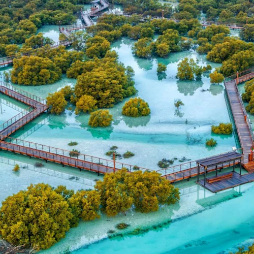 Parque do mangue de Jubail: Passeio de experiência no calçadão - Photo 4