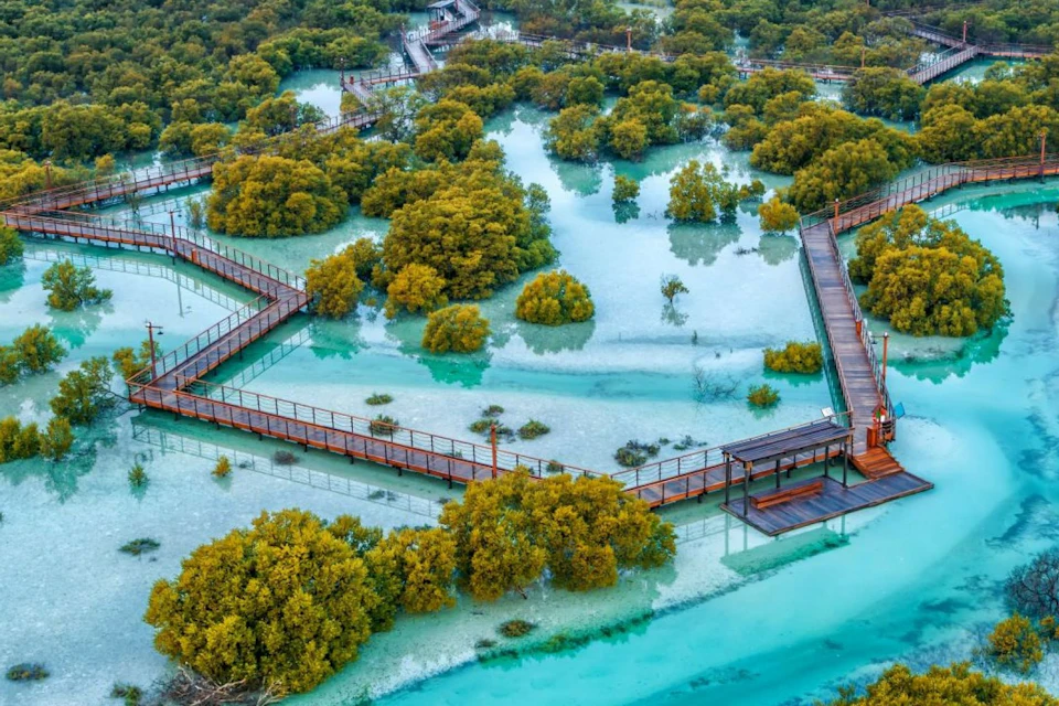 Jubail Mangrove Park - Boardwalk Experience
