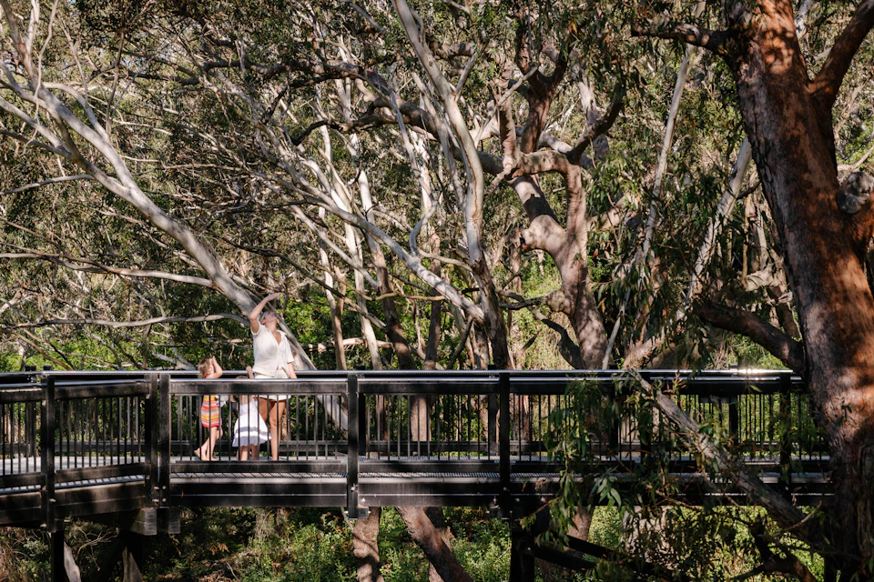 Port Stephens Koala Sanctuary