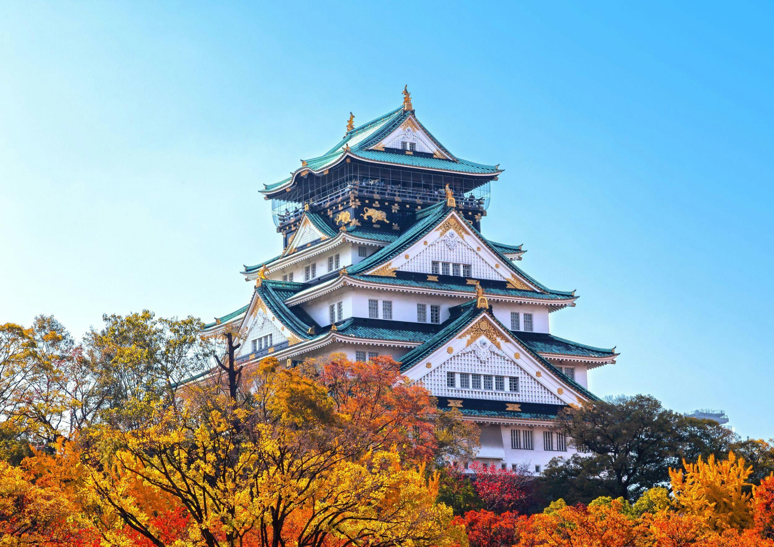 A traditional Japanese castle with white walls and green roofs surrounded by vibrant autumn trees under a clear blue sky.
