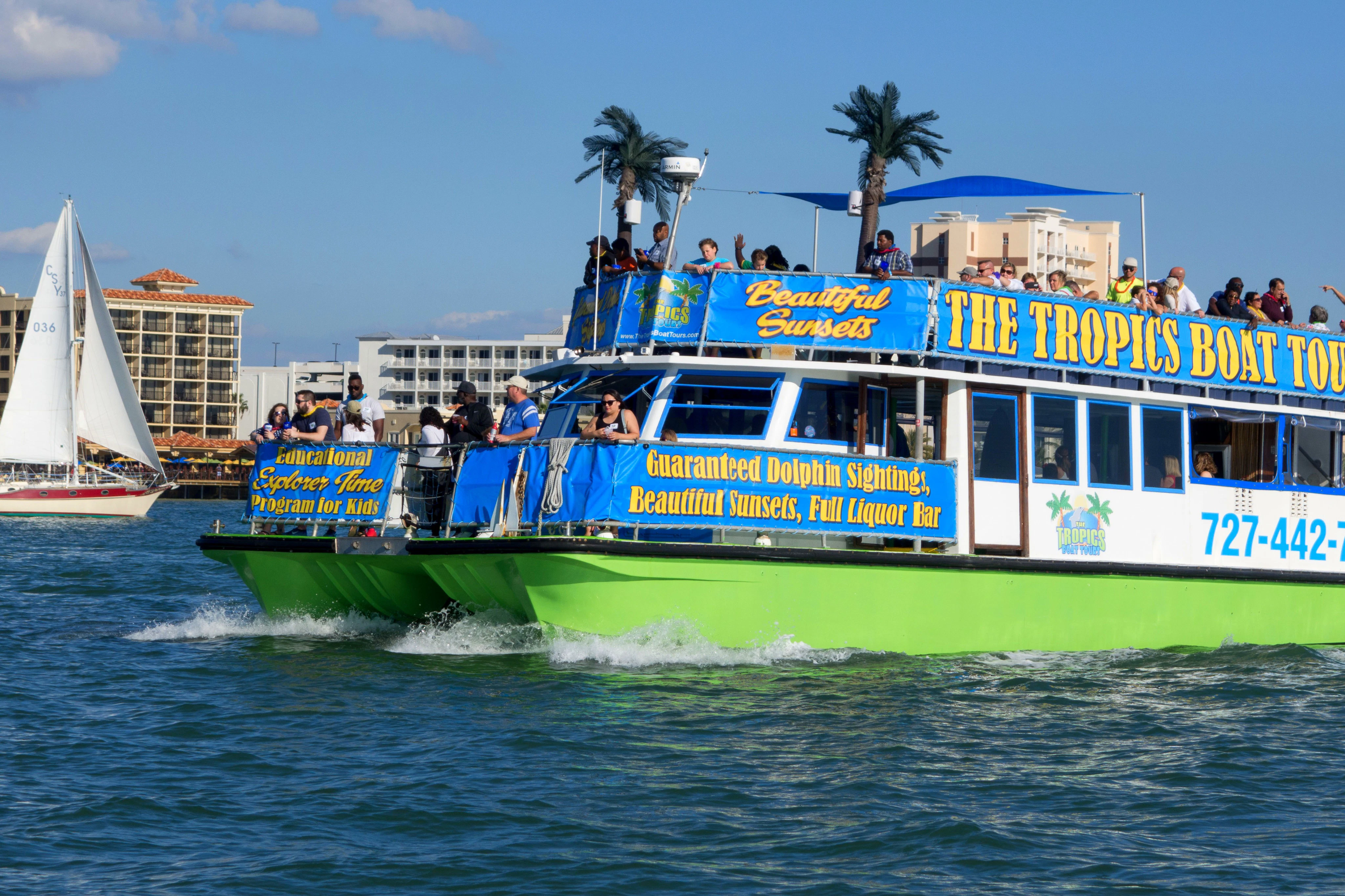 Clearwater: Guided Dolphin Exploration Cruise