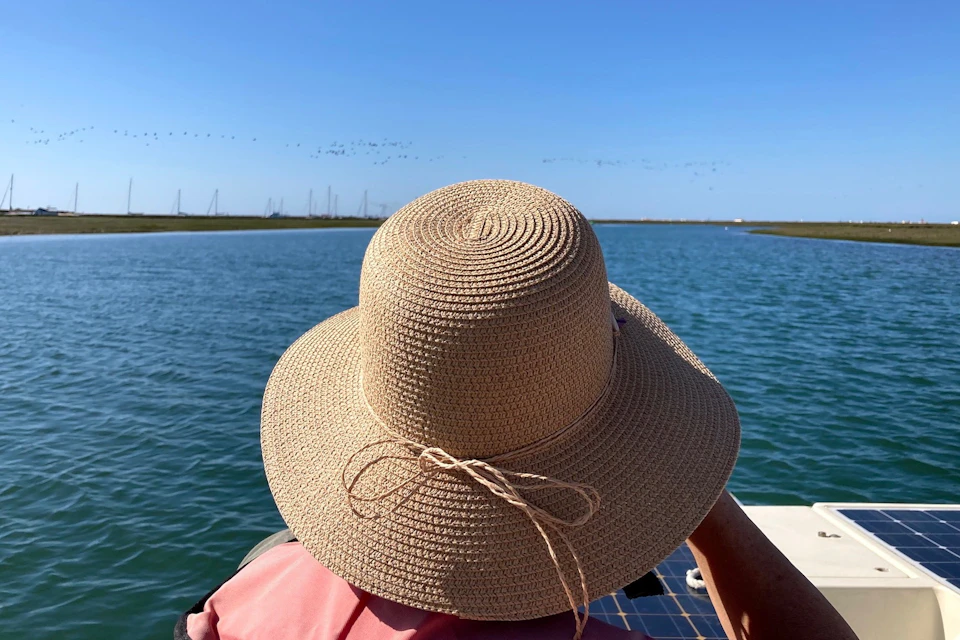 Enjoying nature in the Ria Formosa on a solar-powered boat