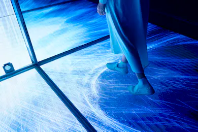 teamLab Planets TOKYO: Entrada | Reserva en línea