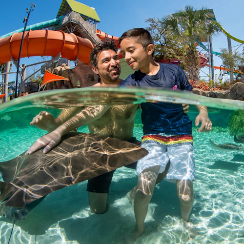 Aquatica San Antonio: Fast Track Ticket - Photo 9