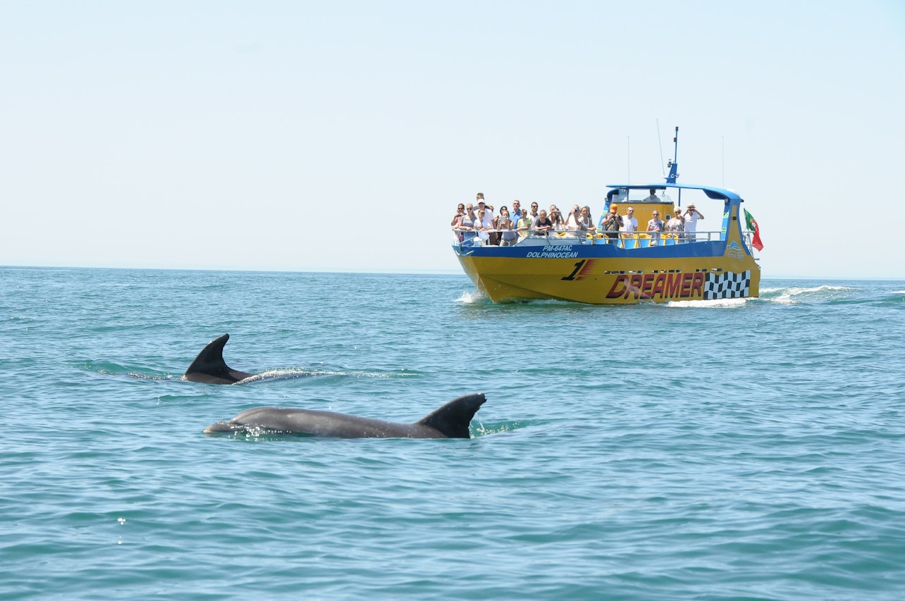 Tour in Barca Grotte e Avvistamento Delfini da Albufeira - Dreamer (motoscafo) - Alloggi in Albufeira