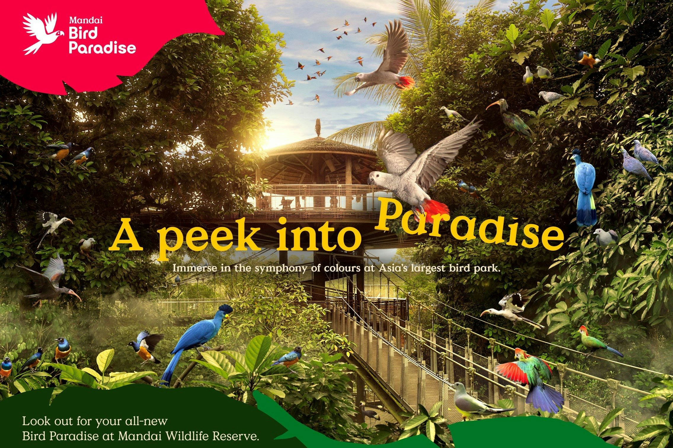 Bird Paradise Singapore | Tiqets