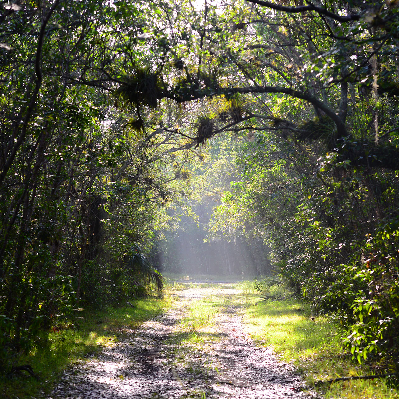 Deering Estate: General Admission Entry Ticket in Miami β Tiqets