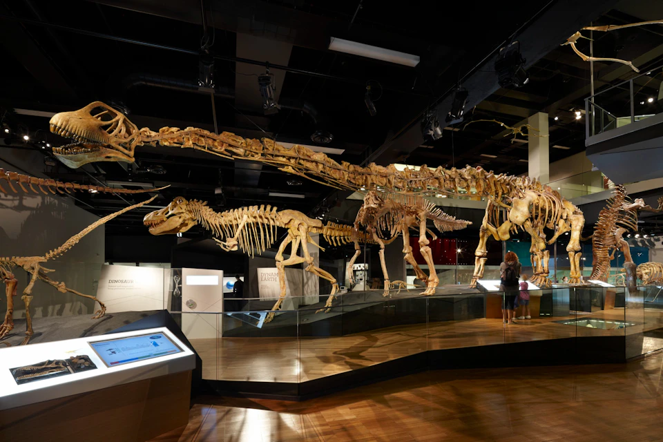 Home of Dinosaurs Tour