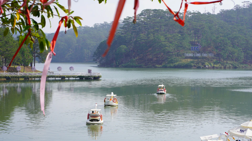 Paddle boats shaped like swans on a calm lake surrounded by trees, with red ribbons hanging in the foreground.
