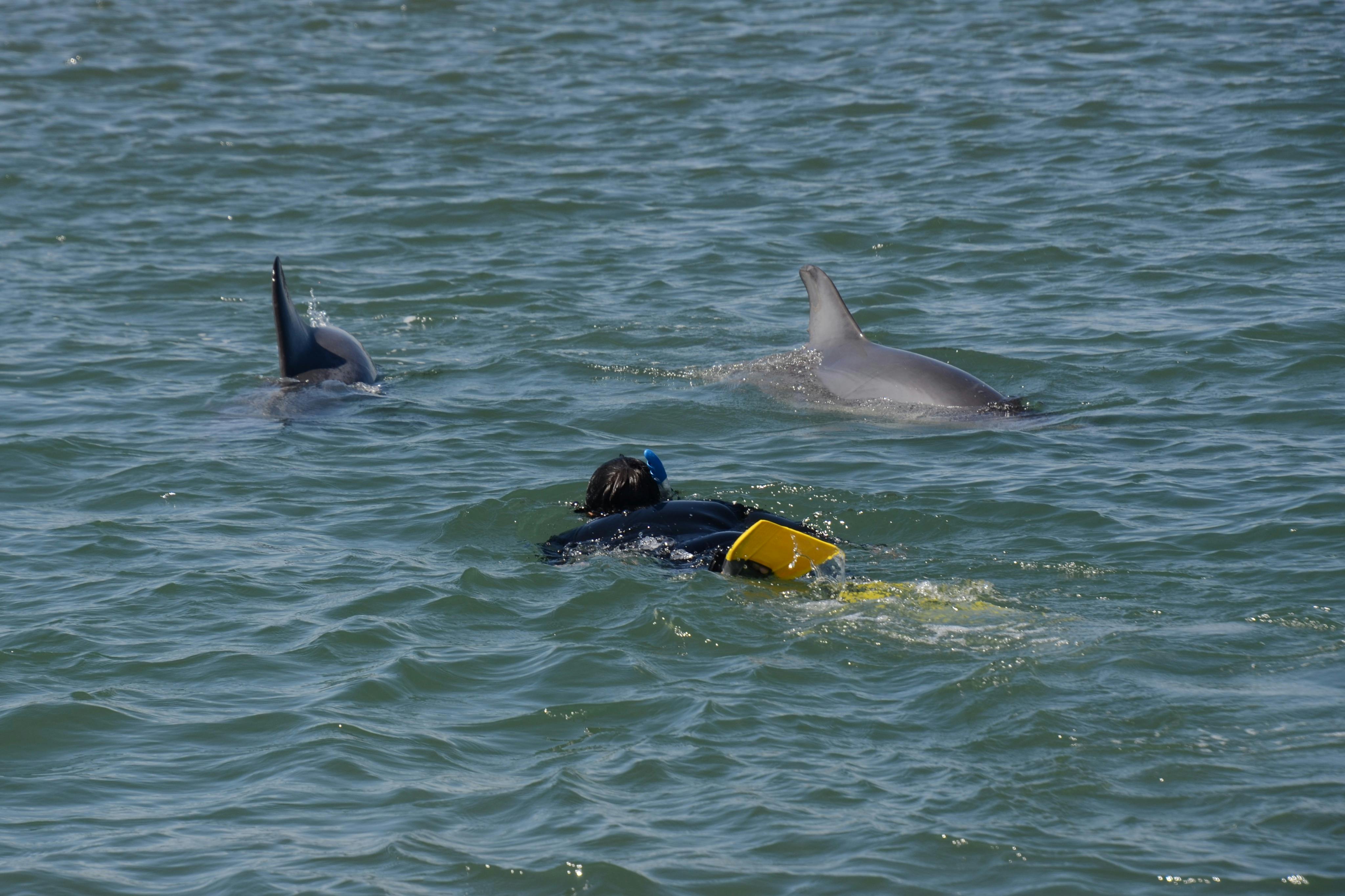 Come face to face with our marine friends.