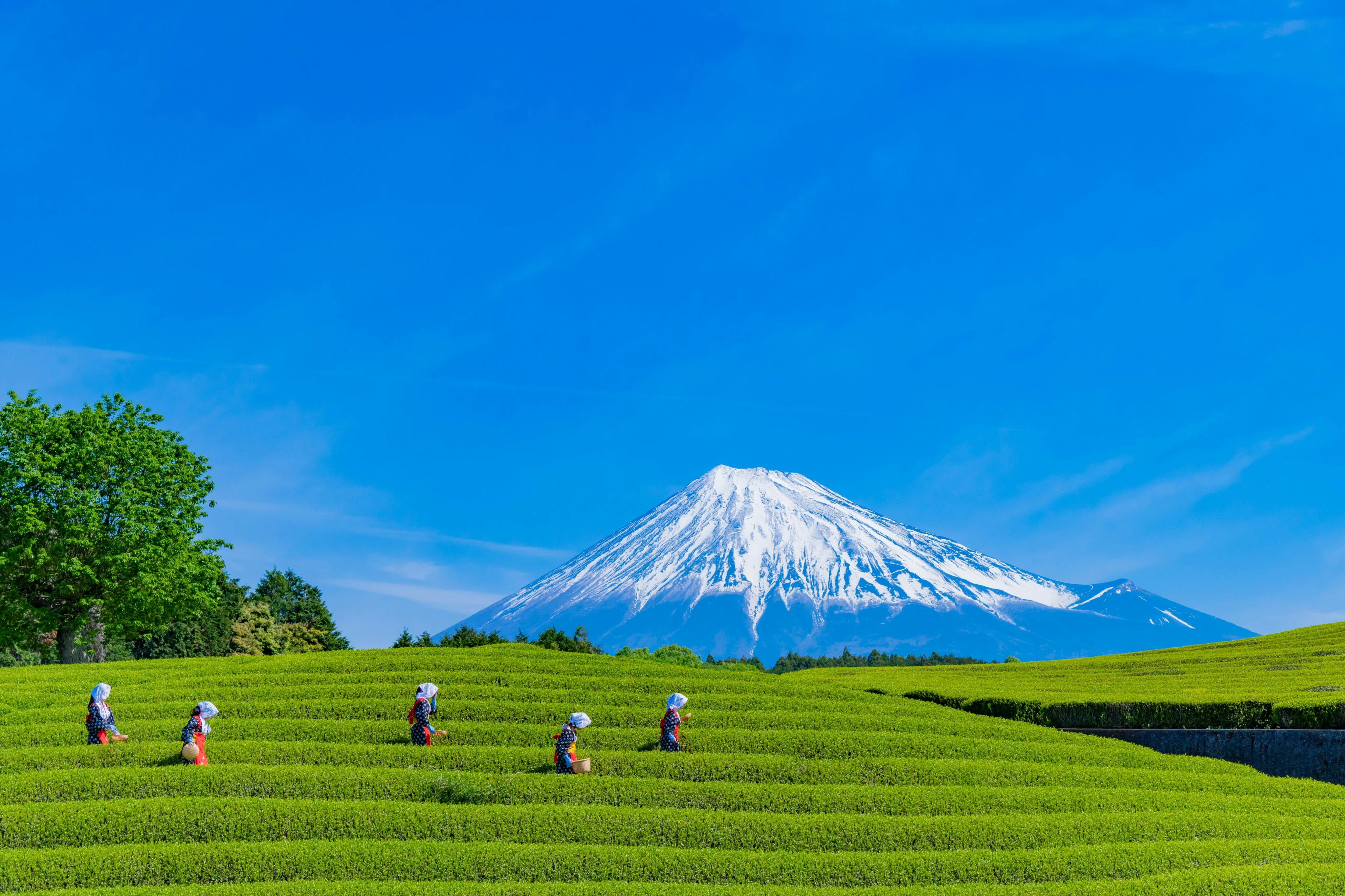Monte Fuji: Visita guiada de um dia a partir de Tóquio - Photo 3