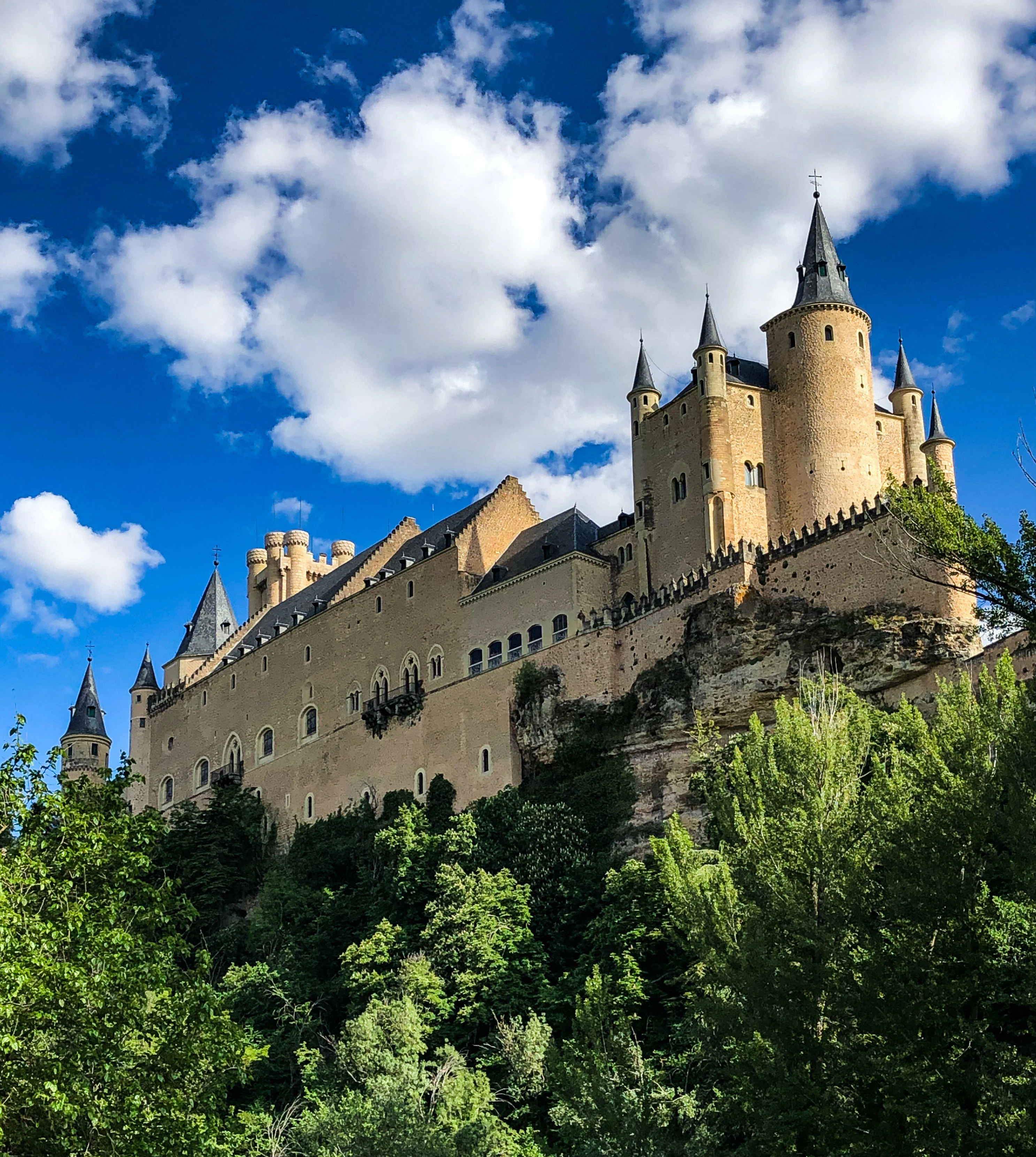 アルカサルとセゴビア大聖堂 スペイン語ガイド付きツアー