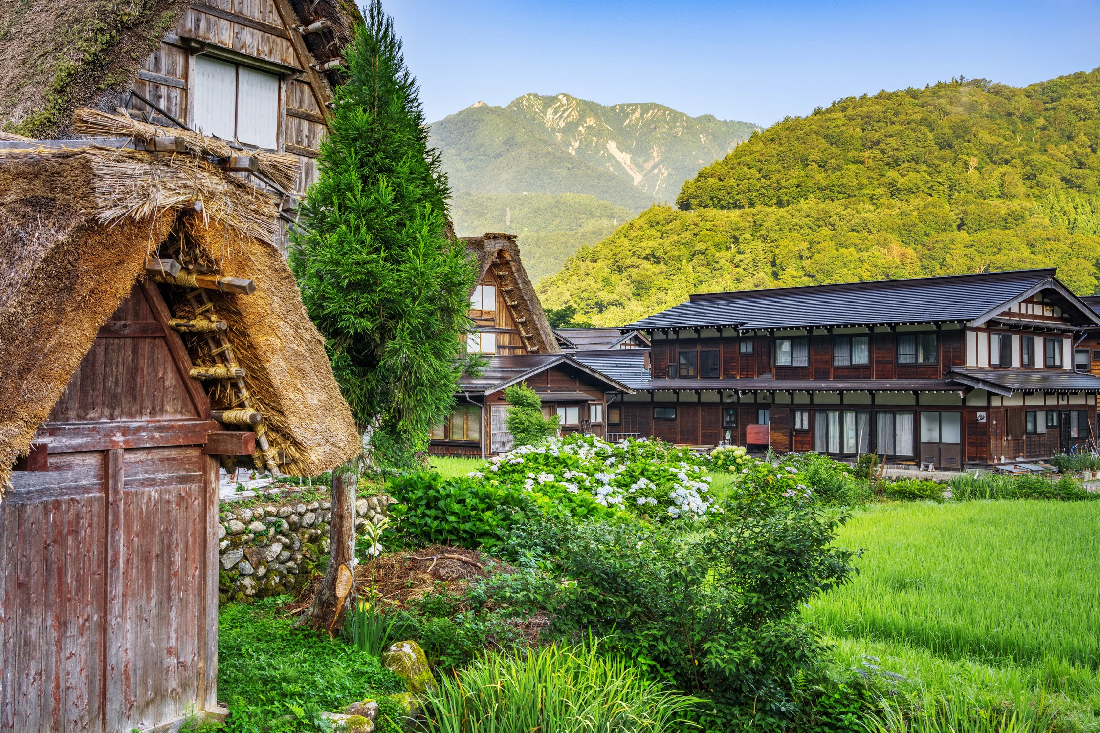 Shirakawa-go: Visita guiada + Visita opcional a Kanazawa e viagem de ida e volta de comboio de alta velocidade