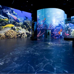 Port des Lumières: Ocean Wonders - An Immersive Dive Entry 3