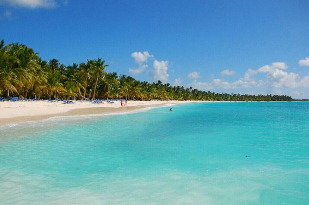 Saona Island Trips & Excursions